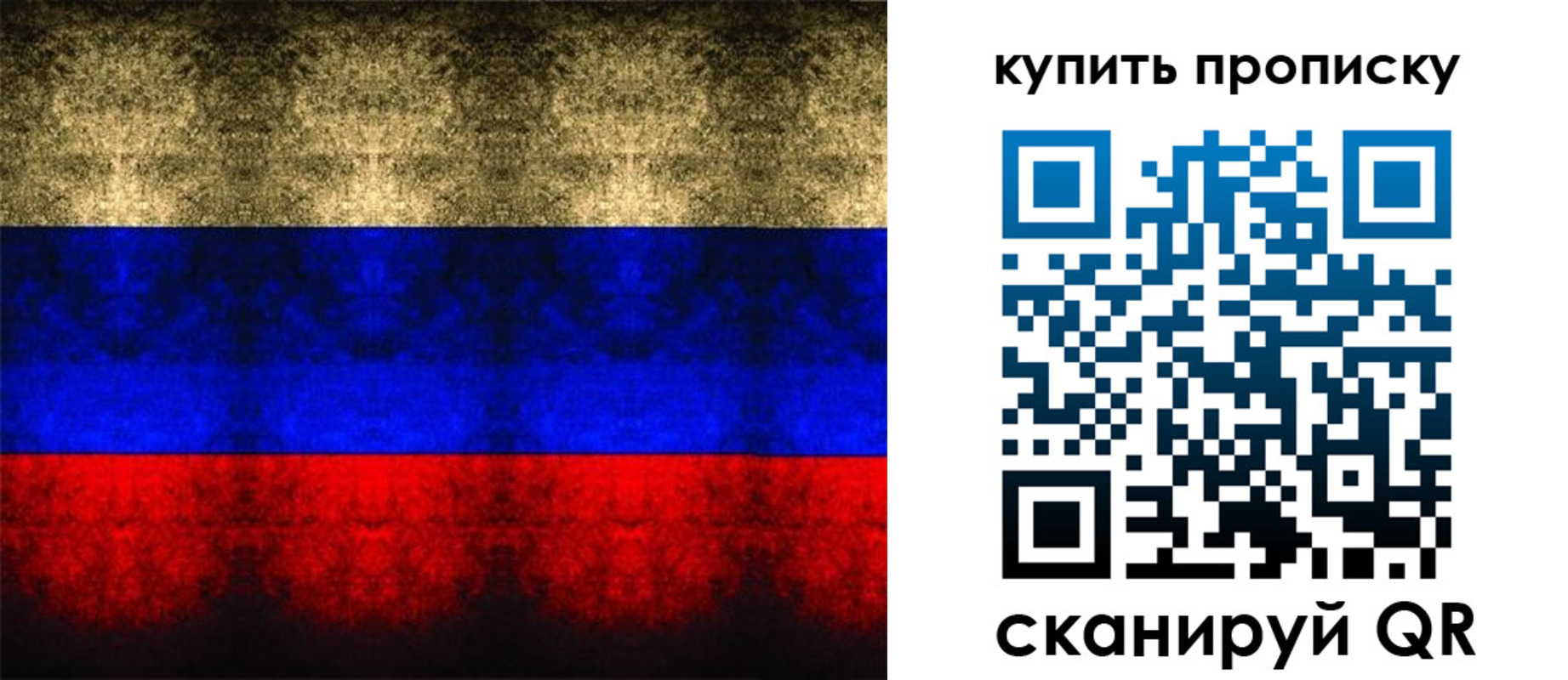 прописка в Апатитах